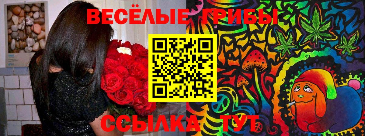 Галлюциногенные грибы Psilocybe Лосино-Петровский